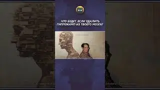 Что будет, если удалить гиппокамп?
