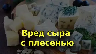 Вред сыра с плесенью. Виды