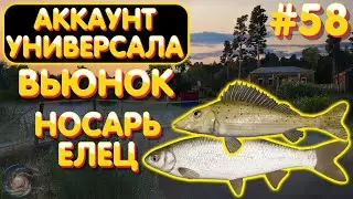 Аккаунт универсала #58 | Елец Уклейка Носарь | р. Вьюнок | Русская Рыбалка 4