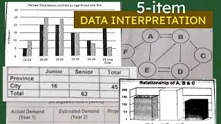 5-item Data Interpretation