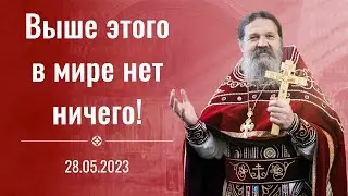 «Батюшка, у меня все хорошо! Молитва есть, работа есть!». Проповедь о.Андрея Лемешонка 28.05.2023 г.