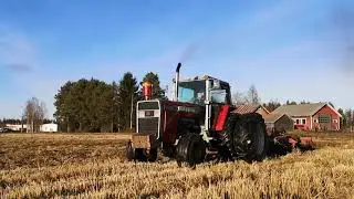 Massey Ferguson 2805 fall tillage