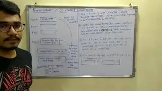 Cloud Computing | Tutorial #16 | OS Assisted Virtualization or Para Virtualization