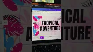 Apply the Barbie Color Palette to any Design in Canva from an Image