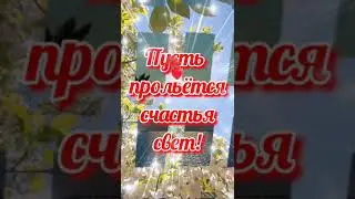 Хорошего дня и отличного настроения!