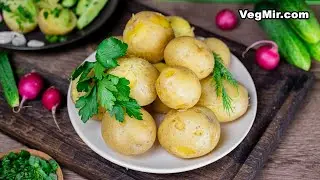 Young potatoes with fresh vegetables and herbs – a delicious summer recipe with boiled potatoes