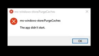 2024 fix ms-windows-store:PurgeCaches The App didnt start