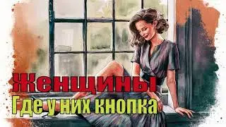 Женщины. Где у них кнопка - Вис Виталис. Аудиокнига.