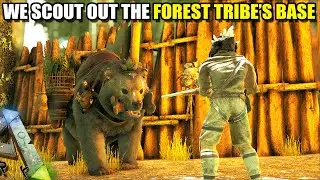 WE SCOUT OUT THE FOREST TRIBE'S BASE | TRIBE WARS | ARK SURVIVAL EVOLVED EP23