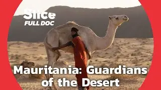 Enduring Traditions: Mauritania’s Desert Legacy | FULL DOCUMENTARY