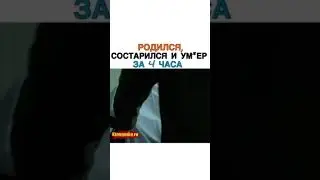 Родился, Состарился И Умер За 4 Часа