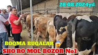 SHO‘RO MOL BOZOR BOQMA BUQALAR VA G‘UNAJINLAR NARXLARI ZO‘R BO‘LDI SAVDO BOZORDA YAXSHI ANCHA ARZON.