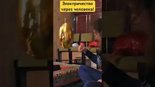 Опыты с электричество! Пропускаем миллион вольт через цыгана