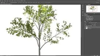 How to create trees in Photoshop