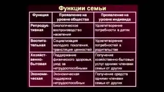 Социология / 4 лекция