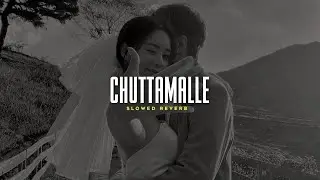 Chuttamalle (Slowed + Reverb) Shilpa Rao | Anirudh Ravichander | Lofi Version |Ameen Fahim