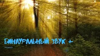 Расфокусировка Мысли/Новый формат Музыки для Медитации и Сна.