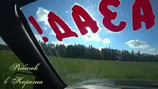 Июнь 2024, пошли грибы