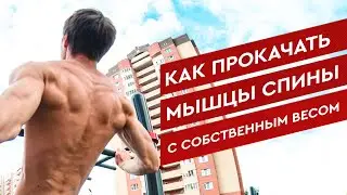 Эти 4 упражнения прокачают твою спину как никогда!