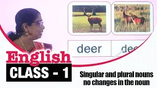 Singular and plural nouns no changes in the noun | ENGLISH CLASS - 1 | Learn Grammar Part-38