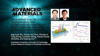 Broadband Molybdenum Disulfide Field-Effect Phototransistors