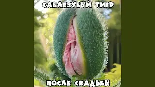 После свадьбы