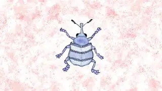 music for bugs - weevil