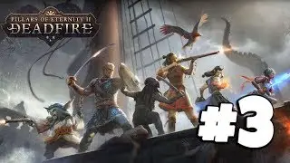 Pillars of Eternity 2: Deadfire #3 - Shipwrecked! - Gameplay Walkthrough