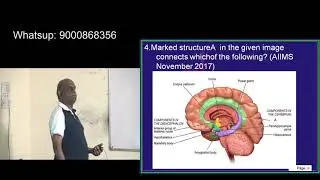 Revise 20000 Bullet Points in 10000 Minutes with Dr Murali Bharadwaz for NEETPG everyday 6pm 25