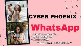 Cyber phoenix Whatsapp | Extra features And New update Whatsapp | phoenix whatsapp