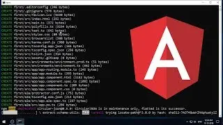 Setting up Angular Development Environment