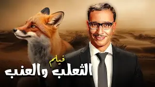 فيلم 