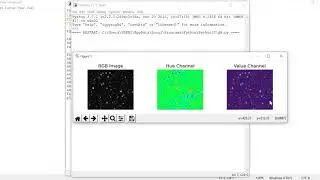 SciKit-Image(Image Processing in Python)- Converting Image from RGB to HSV Example