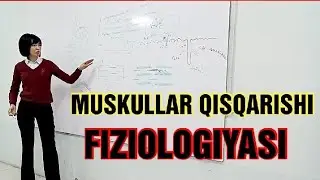 Muskullar Qisqarish mexanizmi. FIZIOLOGIYA