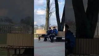 - У вас что-то упало!? - Что? - Настроение 😉 