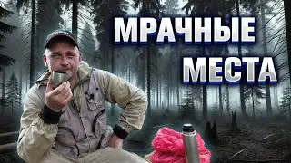 ТАЙНЫ МРАЧНОГО ЛЕСА: Что я нашел среди деревьев?