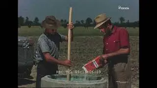 Il pomodoro (Armando Ambrogio, 1957)