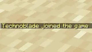 Technoblade's Last Block...