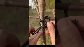 World Famous Knot
