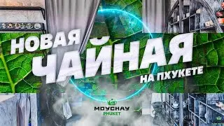 Новая чайная на Пхукете! Предоткрытие. Навестили наш чайный лес и завод в Таиланде.