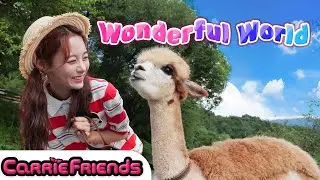 Rainbow alpaca's mission! Find hidden colorful balloons!