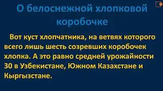 Чтение 3 класс. О белоснежной хлопковой коробочке.
