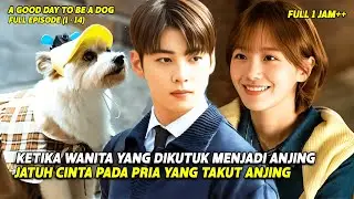 KISAH CINTA BEDA WUJUD ‼️ A Good Day To Be A Dog Full Episode 1 - 14