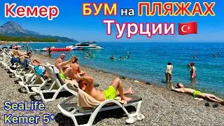 Турция 2024🇹🇷 ПЛЯЖ отеля SeaLife Kemer Resort Hotel 5*❗️ БОРЬБА за лежаки. МОРЕ в Кемере