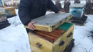 Верхняя вентиляция зимнего клуба пчёл.