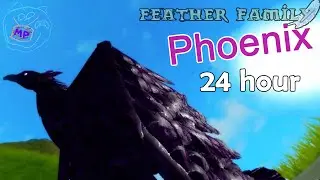 24 часа Феникса в семье птиц | roblox feather family phoenix | Multikplayer