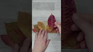 🦚ПАВЛИН🍁ОСЕННИЕ ПОДЕЛКИ из ПРИРОДНОГО МАТЕРИАЛА.Поделки своими руками.Diy crafts#shorts