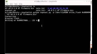 Flash ESP8266 Firmware using esptool.py