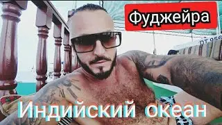 ФУДЖЕЙРА 🇦🇪 ИНДИЙСКИЙ ОКЕАН /ПОДВОДНЫЙ МИР/ Температура воды и воздуха зимой
