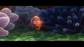 NEMO NO!